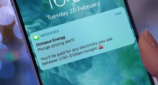 phone showing octupus energy plunge pricing alert